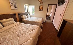 hostal flor de viña del mar